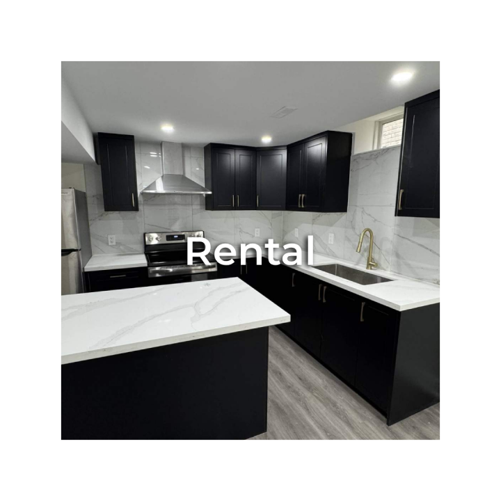 Basement Renovation